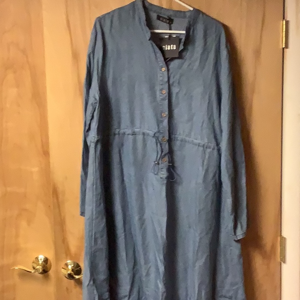 Blue Long Sleeve Buttoned Shirt Dress